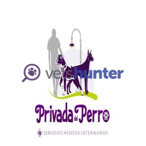 Veterinary clinic Privada del Perro