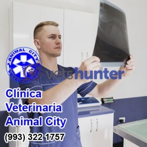 Veterinary clinic Clínica Veterinaria Animal City Villahermosa