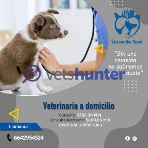 Veterinary clinic Vet on the Road